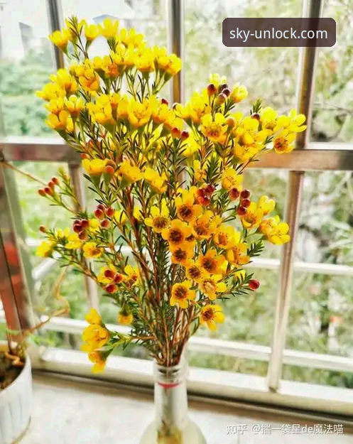 资深用户赵晓蕾的云开体育平台使用心得：如何快速找到官方注册入口